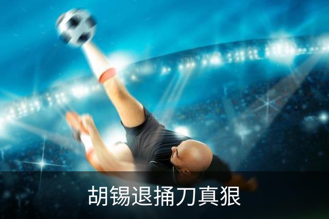 胡锡退捅刀真狠